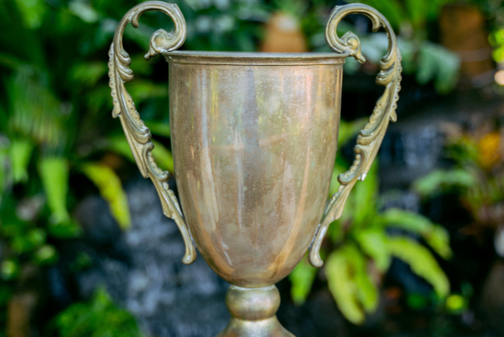 Trophy with handles